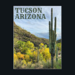 Cartão Postal Canyon de Autumn Colors Saguaro Sabino<br><div class="desc">Olá! Espero que goste desta foto que eu capturei nas minhas viagens. Sinta-se livre para adicionar seu próprio texto! Procure mais no meu compro.</div>