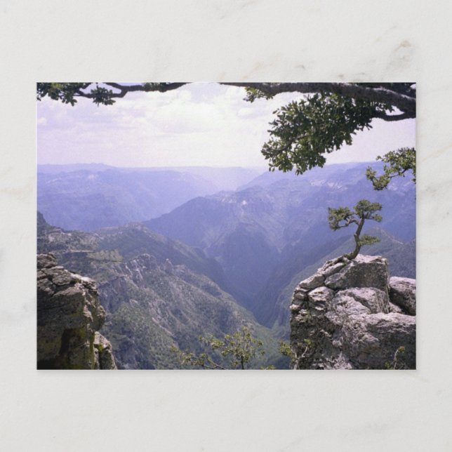 Cartão Postal Canyon de cobre (Frente)