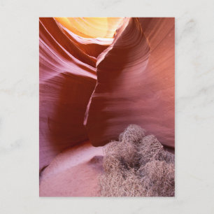 Cartão Postal Canyon de muitas cores