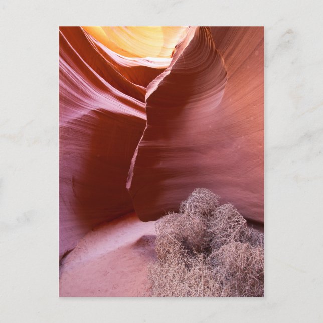 Cartão Postal Canyon de muitas cores (Frente)