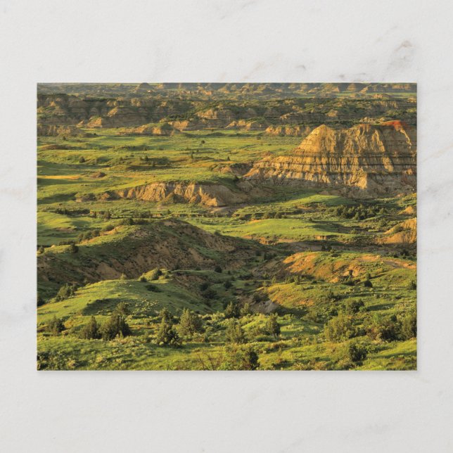 Cartão Postal Canyon pintado após tempestade em Theodore Rooseve (Frente)