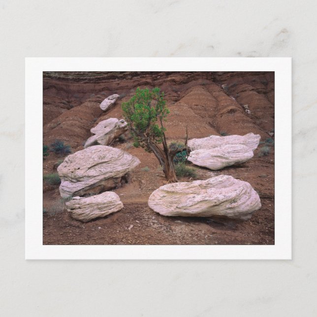 Cartão Postal "Canyon Pods" (Frente)