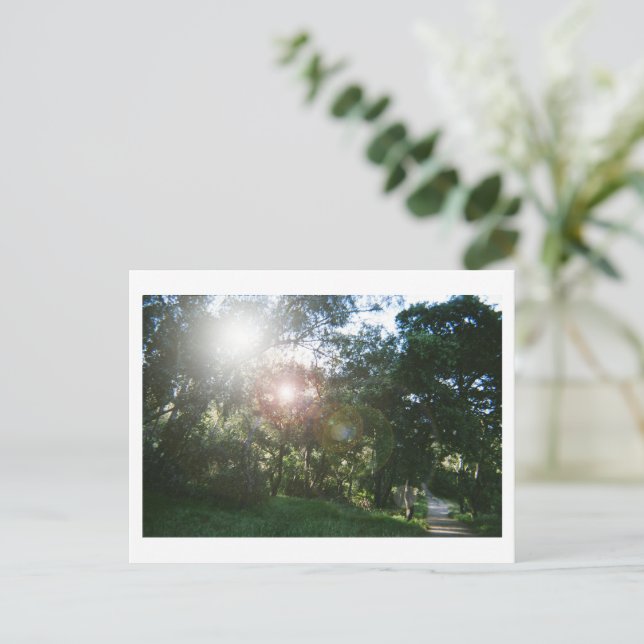 Cartão Postal Canyon Trail (Em pé/Frente)