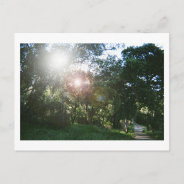 Cartão Postal Canyon Trail