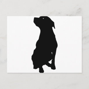 Cartão Postal Cão