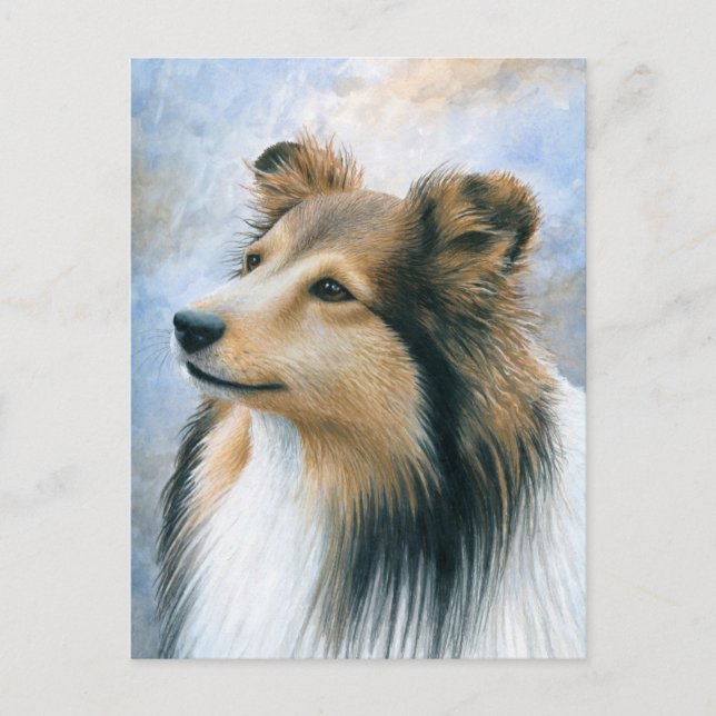 Cartão Postal Cão 122 Sheltie Collie (Frente)
