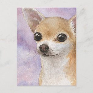 Cartão Postal Cão 95 Chihuahua