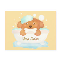 Cão Alinhando Salão