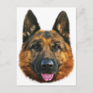 Cartão Postal Cão Alsaciano K-9 german shepherd