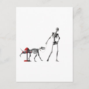 Cartão Postal cão andando