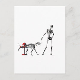Cartão Postal cão andando