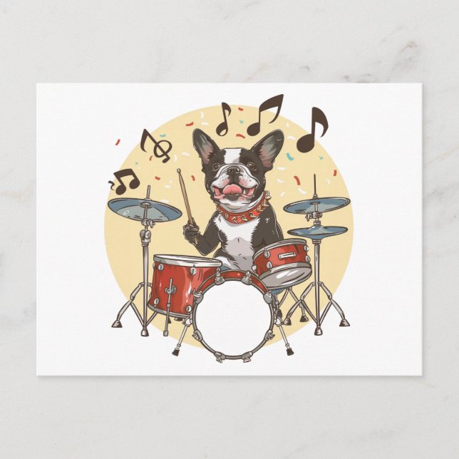 Cartão Postal Cão Boston Terrier Tocando Bateria (Frente)
