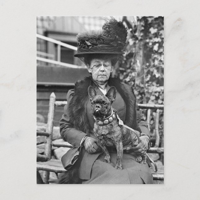 Cartão Postal Cão Bulldog Francês Campeão, década de 1920 (Frente)