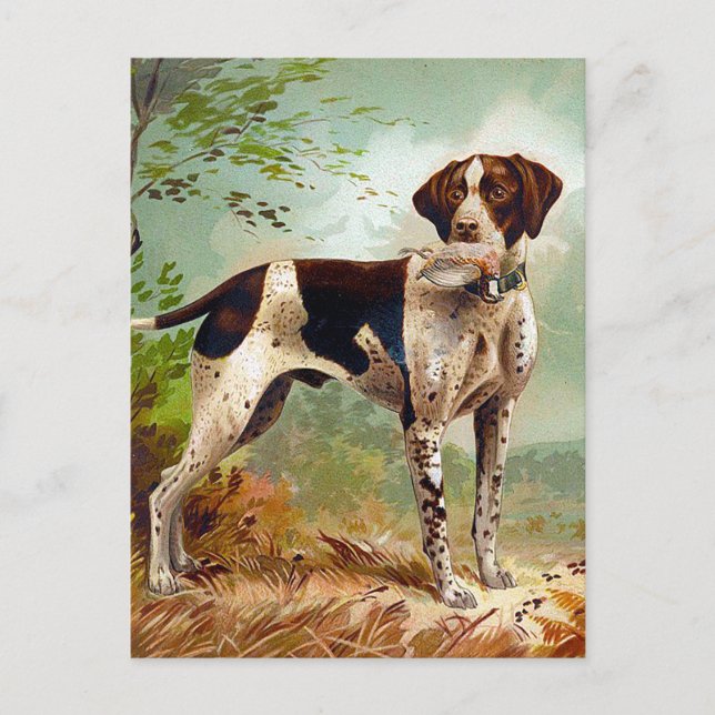 Cartão Postal Cão caçador com pássaro na boca (Frente)