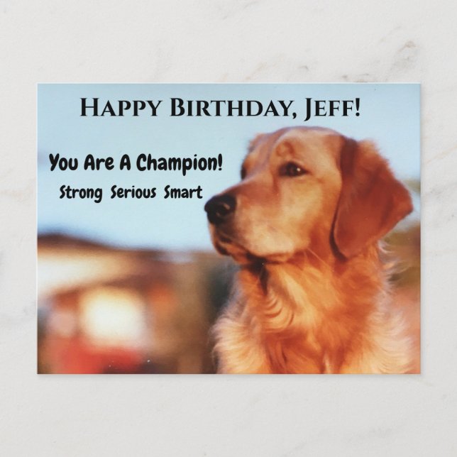 Cartão Postal Cão Campeão Golden Retriever Feliz Aniversário For (Frente)