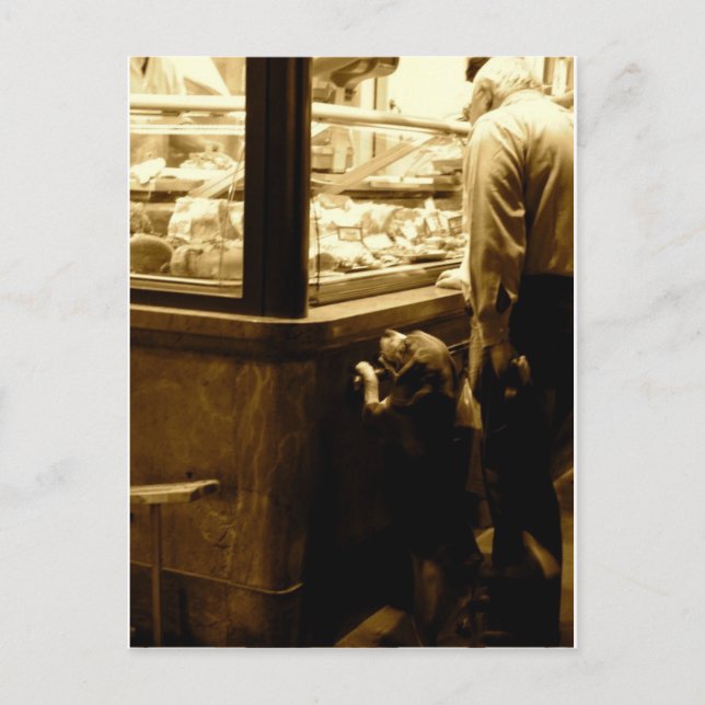 Cartão Postal Cão com fome na Itália (Frente)