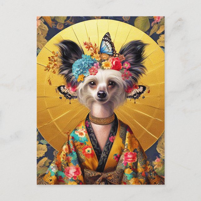 Cartão Postal - Cão Crestada Chinês em Quimono (Frente)