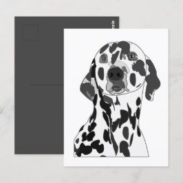 Cartão Postal Cão Dalmata