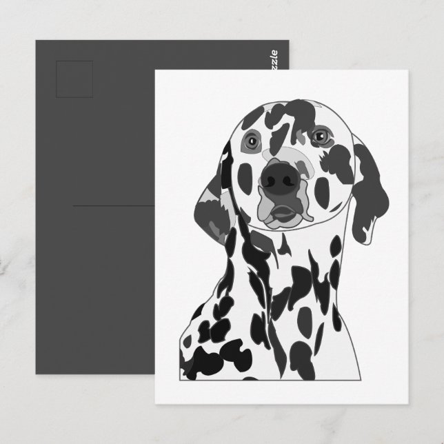 Cartão Postal Cão Dalmata (Frente/Verso)