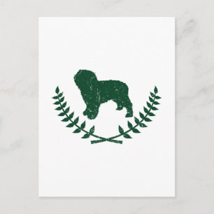 Cartão Postal Cão de Água Espanhol