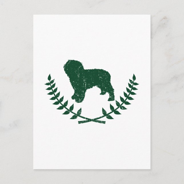 Cartão Postal Cão de Água Espanhol (Frente)