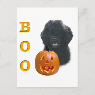 Cartão Postal Cão de Água Português Boo