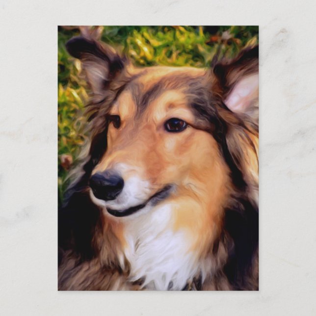 Cartão Postal Cão de Emergência (Frente)