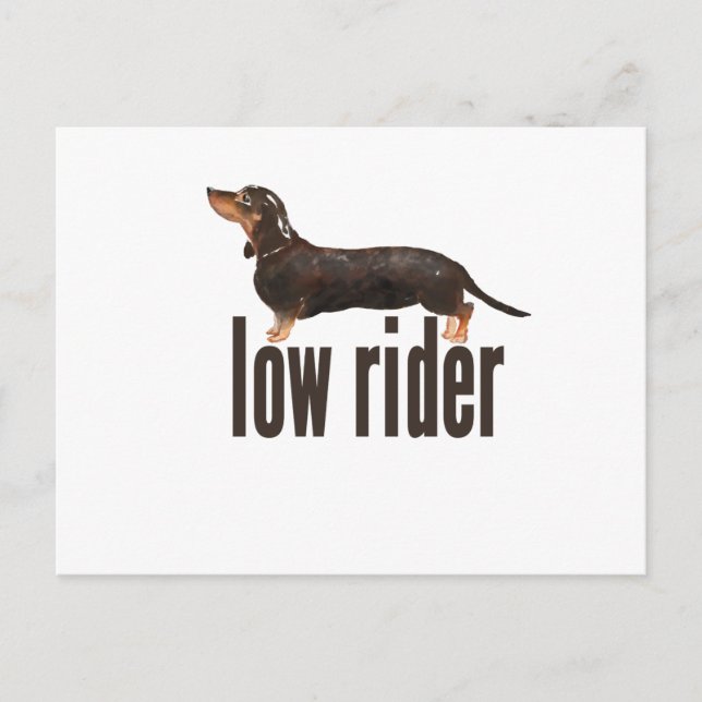 Cartão Postal Cão de enchido de Daschund (Frente)