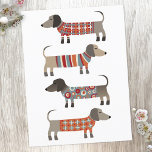 Cartão Postal Cão de Enchimento<br><div class="desc">Enchidos bonitos de Dachshund ou cachorros-salsicha em tricô malhado. Perfeito para amantes de cachorros e ambulantes de cães.</div>