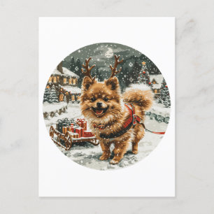Cartão Postal Cão-de-estreia da Pomerânia de Natal
