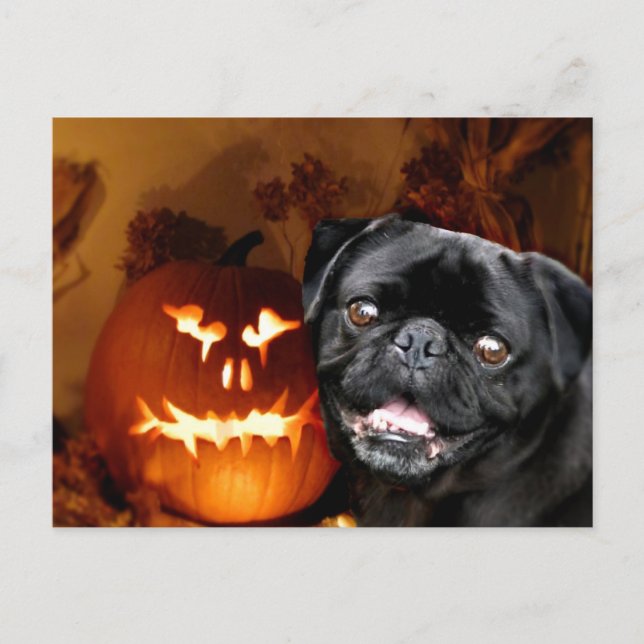 Cartão Postal Cão de Halloween Pug (Frente)