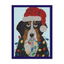Cão de Montanha Bernês Enroscado Em Luzes De Natal