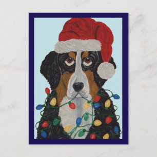 Cartão Postal Cão de Montanha Bernês Enroscado Em Luzes De Natal