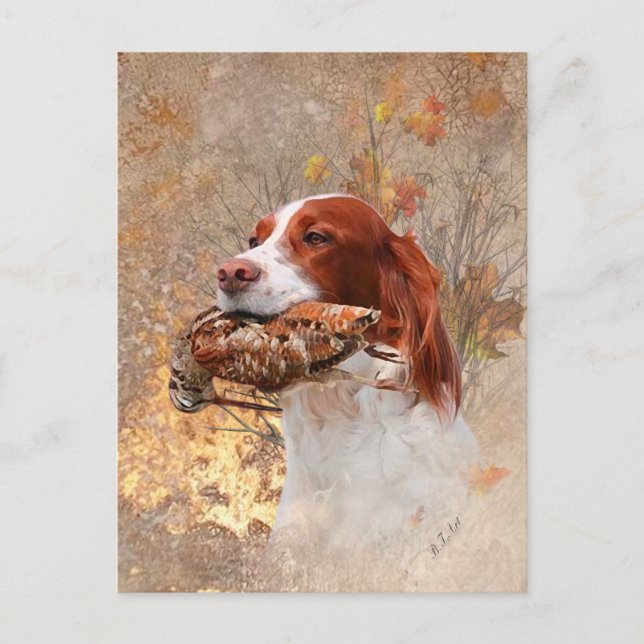 Cartão Postal Cão-de-pássaro, caça à galinha (Frente)