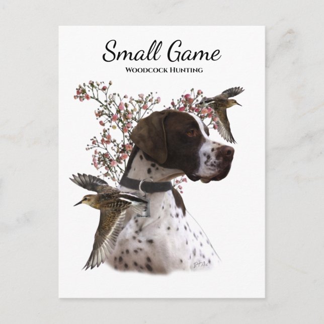 Cartão Postal Cão-de-pássaro, caça à galinha (Frente)