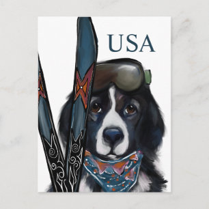 CARTÃO POSTAL CÃO DE TERRA NOVA