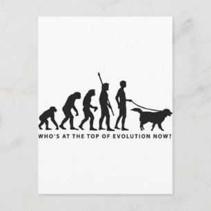 Cartão Postal cão evolução