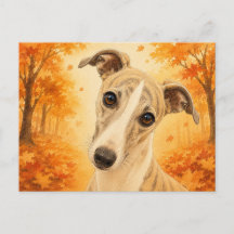 Cão Floresta Outono Whippet