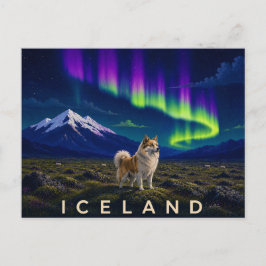 Cartão Postal Cão Islandês sob a Aurora | Icônico da Islân