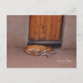 Cartão Postal Cão no Resto