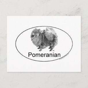 Cartão Postal Cão Pomerânia Eruo