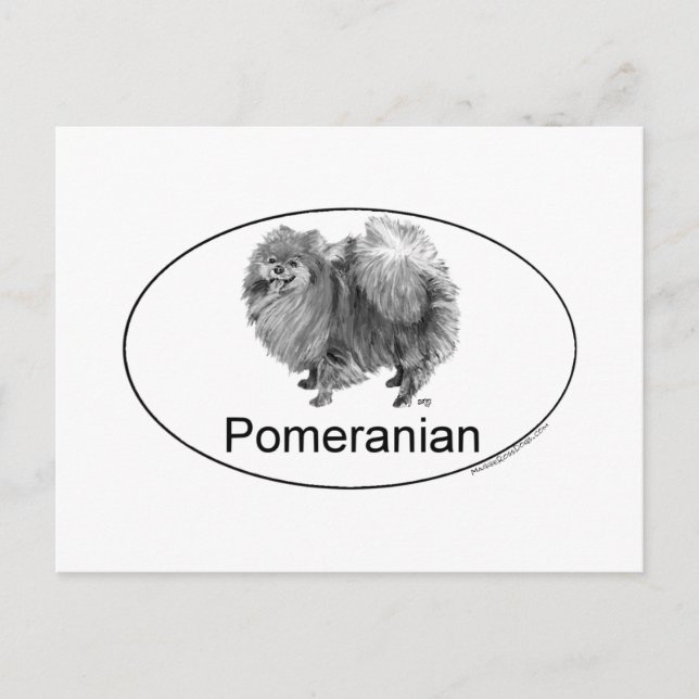 Cartão Postal Cão Pomerânia Eruo (Frente)