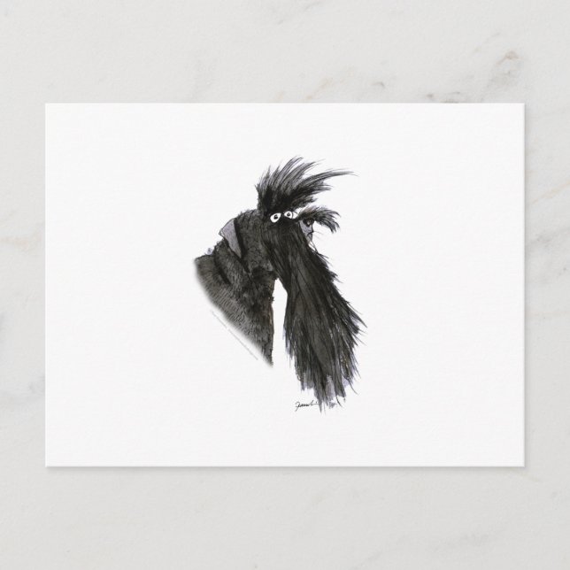 Cartão Postal cão Schnauzer, tony fernandes (Frente)