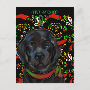 Cartão Postal Cão Terra Nova  