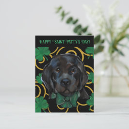 Cartão Postal Cão Terra Nova  