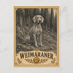 Cartão Postal Cão Weimaraner, Coleção Vintage Heritage