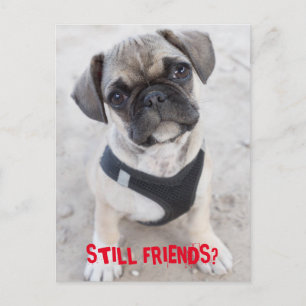 Cartão Postal Cãozinho Buldogue francês bonito