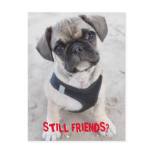 Cãozinho Buldogue francês bonito