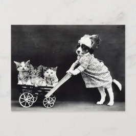 Cartão Postal Cãozinho com Três Gatinhos em uma Carruagem