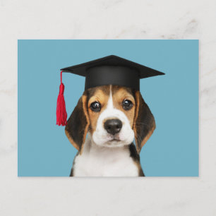 Cartão Postal Cãozinho de beagle bonito em um boné de formatur